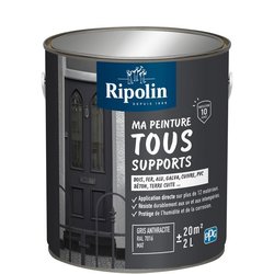 Peinture multi-supports - Gris anthracite - RAL 7016 - Mat - Ripolin -