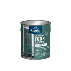 Peinture multi-supports - Vert cedre - RAL 6000 - Mat - Ripolin - 2L