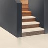 RIPOLIN Pittura per interni ed esterni per pavimenti - Raso bianco spo