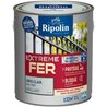 Vernice per ferro - RIPOLIN - 396709 - Grigio chiaro - Lucida - 2 L