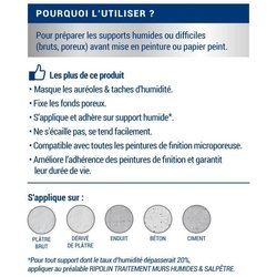 CAPA BASE ANTIHUMEDAD RIPOLIN 2,5L