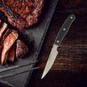 6er-Set Steakmesser - NIROSTA - 22 cm