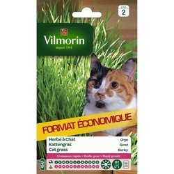 VILMORIN Sachet graines d herbe a chat Orge
