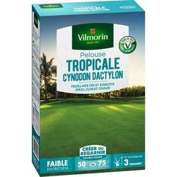 VILMORIN Semences de gazon bord de mer Les Tropicales Cynodon Dactylon