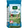 Semi di erba ultra-resistente etichetta rossa VILMORIN - 5 kg
