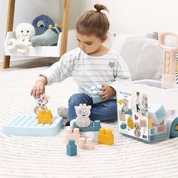 Rolly Bricks - BB Abrick - ECOIFFIER - 40 stuks - Vanaf 12 maanden