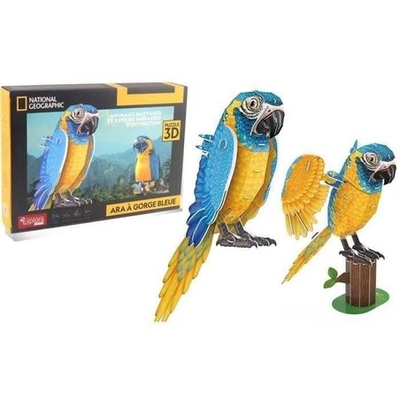 Puzzle 3D - Loro - Juego de construcción - EXPLORA - Pájaro - 94 pieza