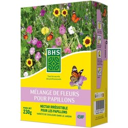 Mélange de fleurs pour papillons - BHS - 230 g - 39 variétés vivaces e