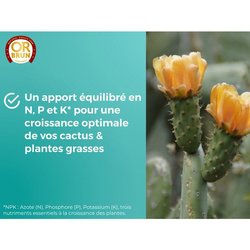 CONCIME ORO MARRONE CACTUS 250 ML