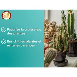 CONCIME ORO MARRONE CACTUS 250 ML