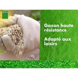 Semence de Gazon - BHS - Haute résistance 10KG - Usage Intensif