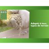 Rasen - BHS - Rasennachwuchs 3kg