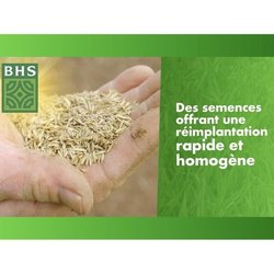 Rasen - BHS - Rasennachwuchs 3kg