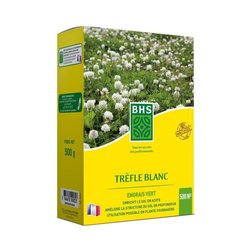 White Clover - BHS - 500 m² | Promotes biodiversity, adapts to all soi