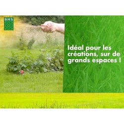 Césped - BHS - 1er premio Eco - 10 kg