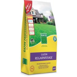 Gräsmatta - BHS - Rustik gräsmatta - 5 kg - Traditionella trädgårdar -
