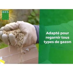 Rasen - BHS - Rasennachwuchs 5kg