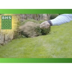 Rasen - BHS - Rasennachwuchs 5kg