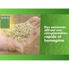 Semence de gazon| Regarnissage Terrain Sec - BHS - 1kg | 50 m² | Résis