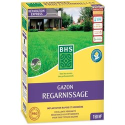 Semence de gazon | Regarnissage Terrain Sec - BHS - 3kg | 150 m² | Rés