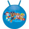 Balle Sauteuse Gonflable Pat  Patrouille - Lexibook - 45cm - Pour Enfa