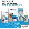 Dentifricio cane masticabile