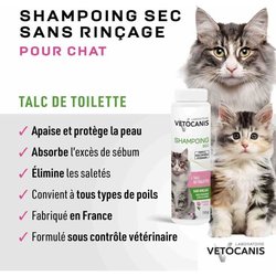 Cat shampoo senza risciacquo