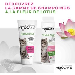Cat shampoo senza risciacquo