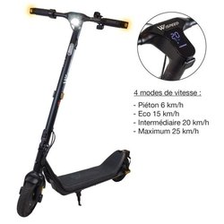 Wispeed C8-40 Pro 250W Schwarzer Elektroroller
