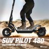 Elektroroller - WISPEED - SUVPILOT 480 - 900 W max - 10   - 18 Ah 48 V