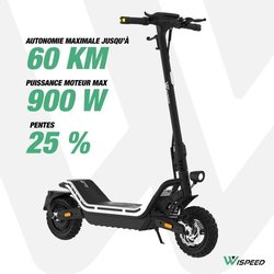 Elektroroller - WISPEED - SUVPILOT 480 - 900 W max - 10   - 18 Ah 48 V
