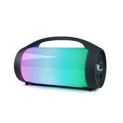 BIGBEN PARTYBTPRO Altavoz Bluetooth - USB SD AUX IN - 38 CM + MICRO IN