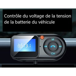 Trasmettitore FM - THOMSON - 12/24 V - Con schermo remoto - Cavo da 2 
