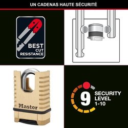 MASTER LOCK Lucchetto in ottone massiccio ad alta sicurezza [Grillo pr