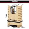 MASTER LOCK Lucchetto in ottone massiccio ad alta sicurezza [Grillo pr