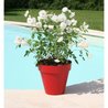 giardino del contenitore in plastica
