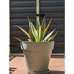 Fioriera rotonda RIVIERA SOLEILLA - Plastica - Diametro 50 cm - Verde 