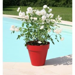 Blumentopf RIVIERA Soleilla - Rund - Ø 60 x 53,6 cm - Rot