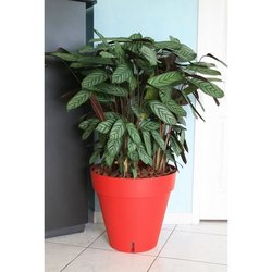 Maceta RIVIERA Loft con reserva de agua - Redondo - Ø 50 x H 46 cm - R
