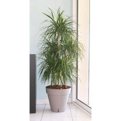 Pot de fleurs avec réserve d eau - RIVIERA - Loft Rond - Ø 49 x H 45 c