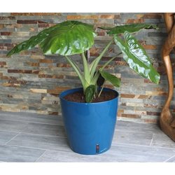 Jardinera redonda RIVIERA EVA NEW - Plástico - Diámetro 31 cm - Azul