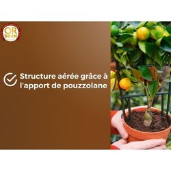 Citrus & Mediterrane Planten Grond - BRUIN GOUD - OBRTAGR6U - 6L - Oli