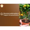 Citrus & Mediterrane Planten Grond - BRUIN GOUD - OBRTAGR6U - 6L - Oli
