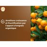 Citrus & Mediterrane Planten Grond - BRUIN GOUD - OBRTAGR6U - 6L - Oli