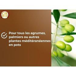 Citrus & Mediterrane Planten Grond - BRUIN GOUD - OBRTAGR6U - 6L - Oli