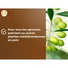 Citrus & Mediterrane Planten Grond - BRUIN GOUD - OBRTAGR6U - 6L - Oli