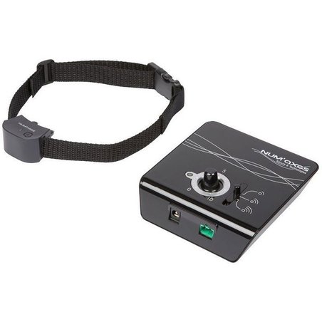 Set kleiner voller Canifugue