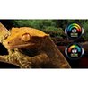 Higrómetro analógico para terrario - EXO TERRA