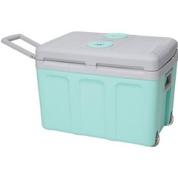 Glaciere thermoélectrique INCASA 40L - Alimentation 12/220V - Vert - I