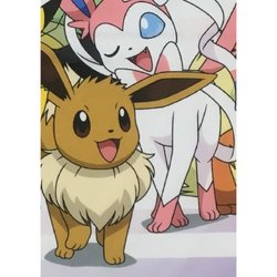 Coperta Sherpa - POKEMON - Evoluzioni - 100 x 150 cm